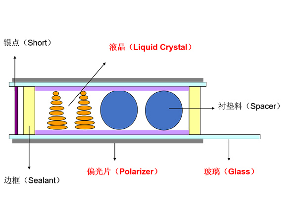 TN/STN 型 LCD 结构